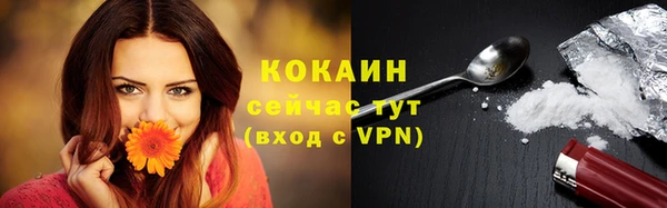 твердый Кущёвская