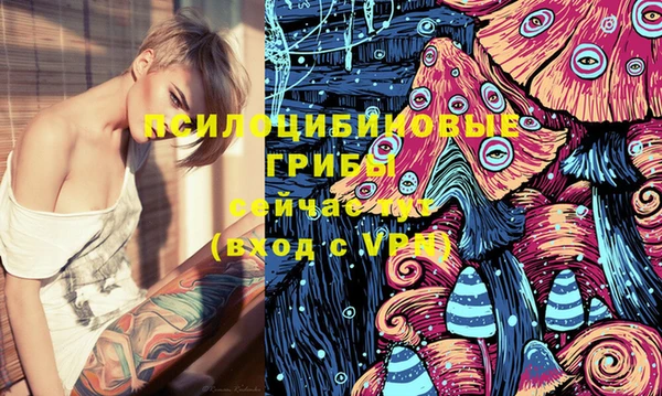 ПСИЛОЦИБИНОВЫЕ ГРИБЫ Бугульма