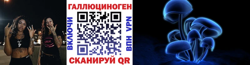 где найти   Электрогорск  Галлюциногенные грибы Cubensis 